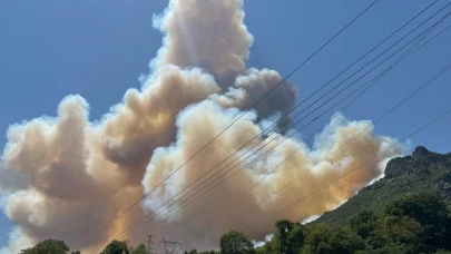 Sakarya'da yeni yangın çıktı! Geyve'de dumanlar gökyüzünü sardı