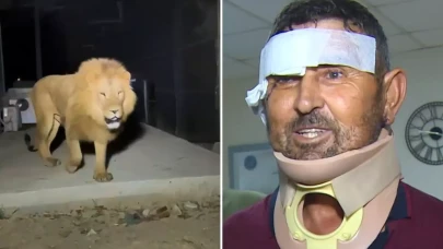 Aslan saldırısında yaralanan çiftçi taburcu edildi: Boğazıma sarıldı ben de onu gırtlakladım