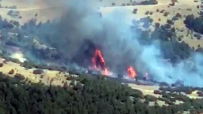Manisa'da tarım arazisi yangını!