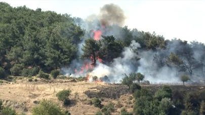 Bakan Yerlikaya duyurdu: Orman yangınlarıyla ilgili 7 gözaltı, 3 tutuklama