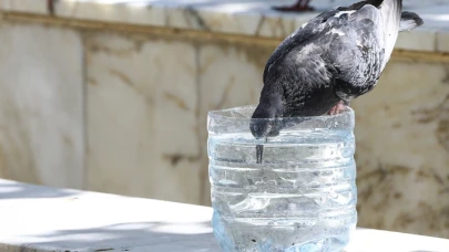 Meteoroloji duyurdu aşırı sıcaklar geri geldi 14 Temmuz haftası hava kavrulacak