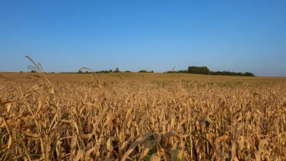 Türkiye son 52 yılın en kurak dönemini yaşıyor!