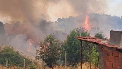 Bursa'daki yangın çok kötü Orhaneli ile Harmancık ilçesi artık görünmüyor