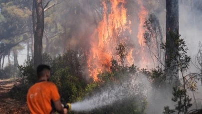 Buca'daki orman yangınına tutuklama! Benzin dökerek...