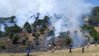 Konya'da yangın çıktı! Ekipler bölgeye sevk edildi