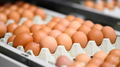 Market raflarında yumurtalara yeni etiket