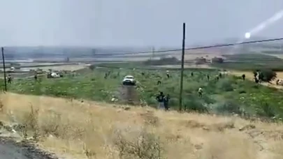 Karpuz tarlası sahibi karşılaştığı manzara karşısında şoke oldu