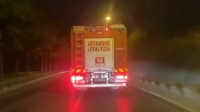 İstanbul Beykoz'da orman yangını!