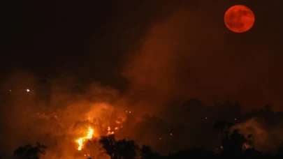 Bursa-Balıkesir sınırında yangın başladı! 2 kişi gözaltına alındı