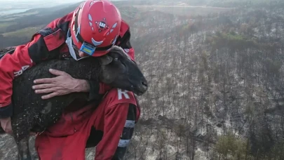 Tekirdağ'daki orman yangını ikinci günde kontrol altına alındı
