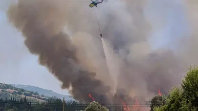 İzmir Bornova'da orman yangını! Alevler Buca'ya sıçradı