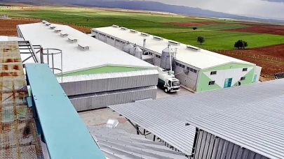 Yumurta firmasına FETÖ'den kayyum atandı