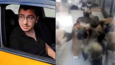 Köpekleri istismar edip öldürmekle suçlanan doktor: Zevk olarak evde yaptığım şeyler