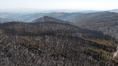 Bursa'daki Orman yangınları kontrol altında!