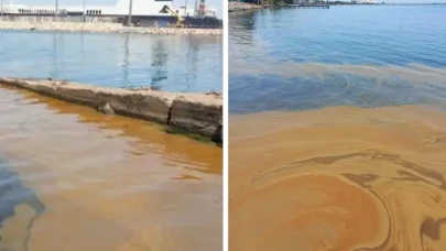 Yalova'daki deniz kirliliğine müdahale: Numuneler TÜBİTAK'a gönderildi!