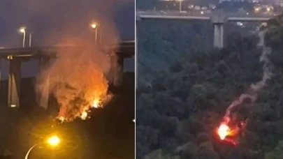 Beykoz'daki orman yangını sonrası valilik o ürünlerin satışını yasakladı