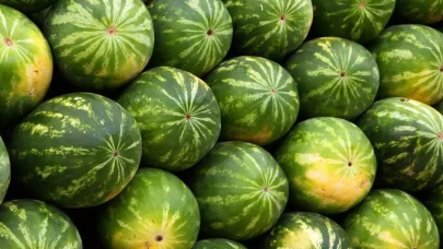 Karpuzdaki büyük tehlike: Bunu yapmadan sakın yemeyin
