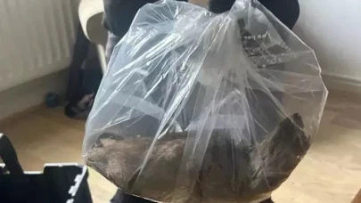 Evin içerisinde yakalanan fare tam 55 santimetre! Görenler şok oldu