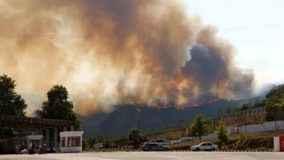 Suriye'deki orman yangını Türkiye sınırını aştı: Yayladağı'nda son durum ne?