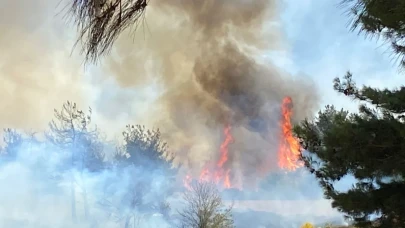 Orman yangınları yurdu tehdit ediyor: Mersin ve Hatay'da son durum ne?