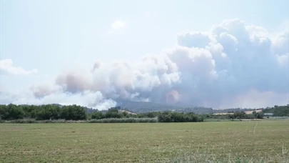 Çanakkale’de orman yangınına havadan ve karadan müdahale: Boğaz trafiği durduruldu
