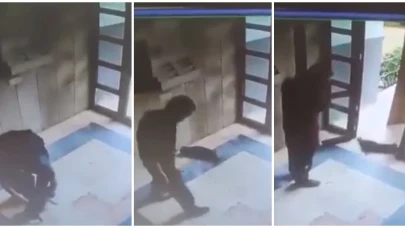 Başakşehir’de kediye işkence eden şahıs tutuklandı: “Uyuyamıyorum”