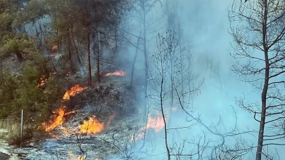 2 ilde daha orman yangını alarmı! Ekipler harekete geçti!