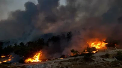 İzmir Buca'da orman yangını: Alevler hızla yayılıyor!