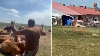 O ilde durum vahim! "Nerede bu yetkililer?" diyerek isyan etti: Allah sen yardım et