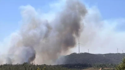Çanakkale'de yine orman yangını! Kazdağları tehdit altında