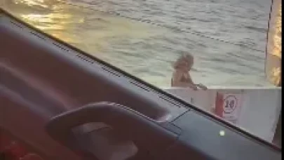 Feribotta korkunç olay! Genç kadın intihar etti