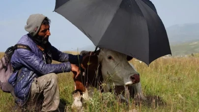 Hayvan sahipleri şap hastalığıyla mücadelede zor günler geçiriyor