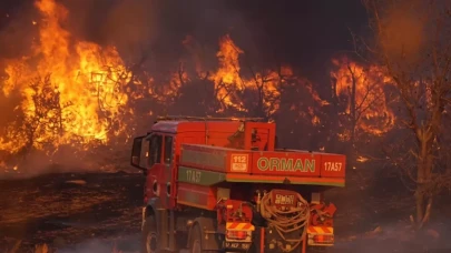 Ciğerlerimiz alev alev! 4 şehrimizde orman yangını