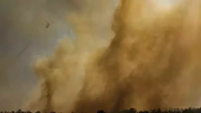 Türkiye’nin dört bir yanında orman yangınları: Çanakkale, Malatya, İzmir ve Antalya alarmda