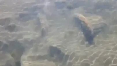 Su seviyesi azalan İznik Gölü'nde tarihi sütun başlıkları bulundu