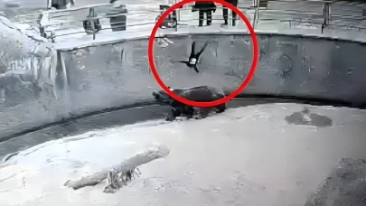 Hayvanat bahçesinde kafese attığı 7 yaşındaki kızını bıçaklayarak öldürdü