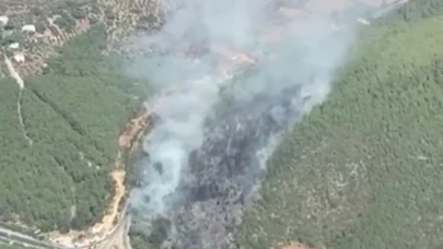 Bodrum'da orman yangını: Yangına müdahale sürüyor