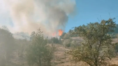 Karabük Ovacık’ta yangın: Alevler ormana sıçradı