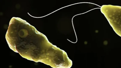 Beyin yiyen amip nedeniyle 19 kişi hayatını kaybetti