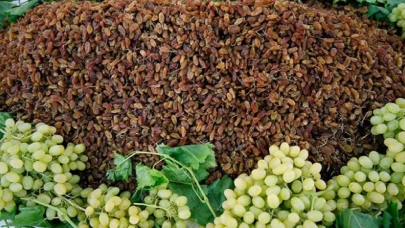 TMO’dan çekirdeksiz kuru üzüm için alım fiyatı açıklaması