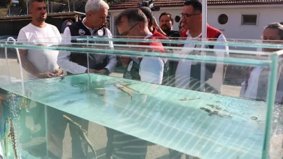 Kilosu bin euro! Bolu'da üretilip dünya pazarına sunulacak