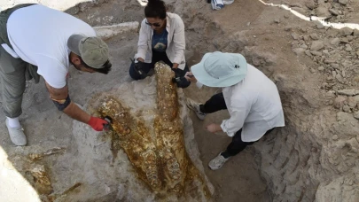 Keçi çobanı ihbar etmişti yetkililer kazdı! 7,7 milyon yıllık 3 fil kafatası bulundu