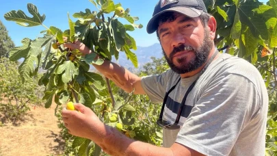 Türkiye'de ilk kez çift kol nakli yapıldı