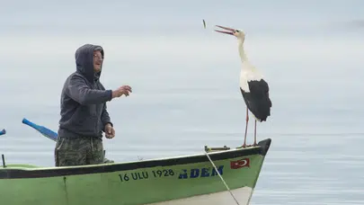 Yaren leylek geldi mi, ne zaman gelecek? Eşi Nazlı yuvaya döndü