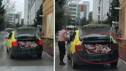 Samsun'da taksi bagajında taşınan kilolarca et gündem oldu!