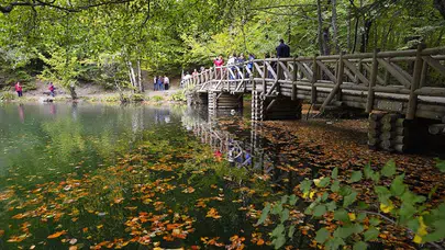 Milli parklarda yeni dönem başlıyor! Teklif yasalaştı