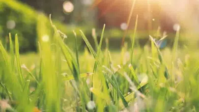 Son cemre ne zaman toprağa düşüyor? 2026 cemre takvimi ve üçüncü cemrenin anlamı