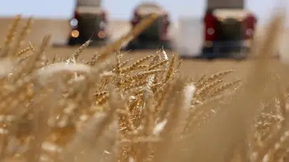 Çiftçilere temel destek ödemesi ne zaman yatacak! Mazot ve gübre desteğinde tarih belli oldu