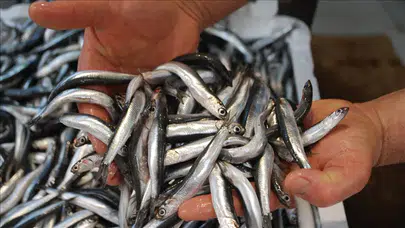 Herkesin severek tükettiği balık zehir deposu çıktı