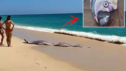 İki "kıyamet balığı" sahile vurdu